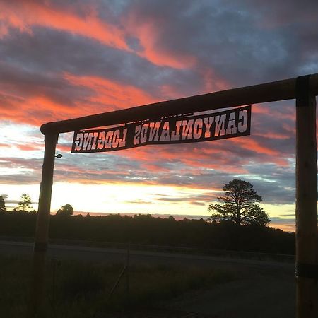 Bluebell Cabin, Glamour Cabin Camping, Stunning Night Sky Monticello Buitenkant foto
